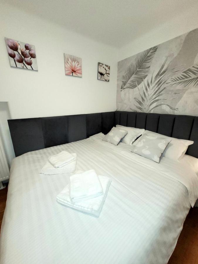 Pacha Residence Temeşvar Dış mekan fotoğraf